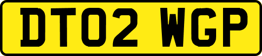 DT02WGP
