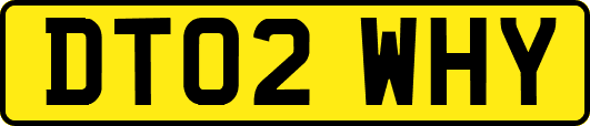 DT02WHY