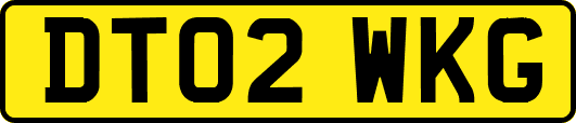 DT02WKG