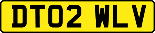 DT02WLV