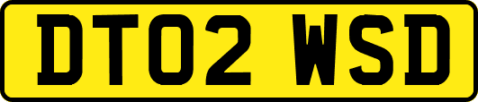 DT02WSD