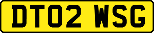 DT02WSG