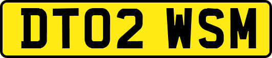 DT02WSM