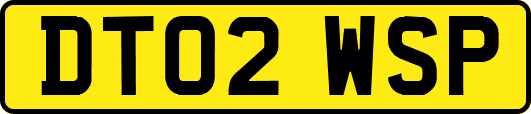 DT02WSP