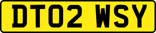 DT02WSY