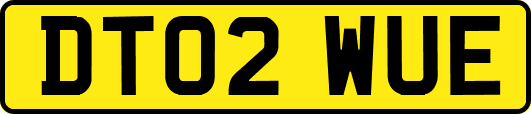 DT02WUE