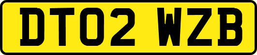 DT02WZB