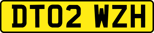DT02WZH
