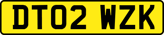 DT02WZK
