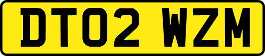 DT02WZM