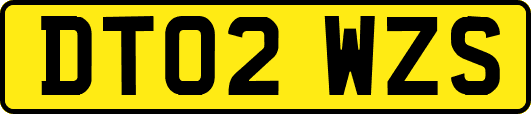 DT02WZS