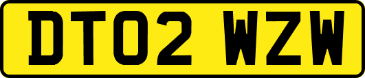 DT02WZW