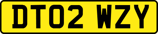 DT02WZY