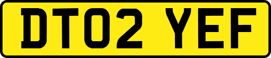 DT02YEF