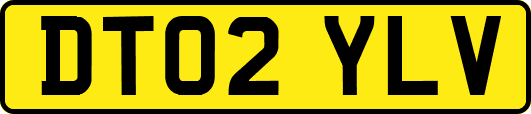 DT02YLV
