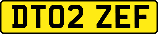 DT02ZEF