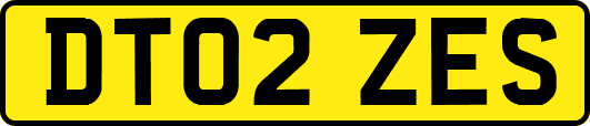DT02ZES