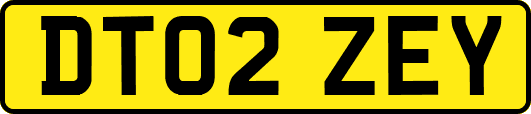 DT02ZEY
