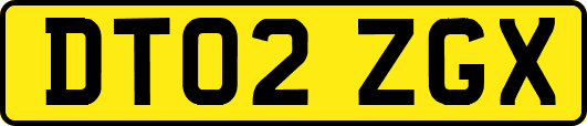 DT02ZGX