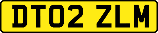 DT02ZLM