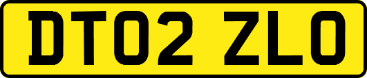 DT02ZLO