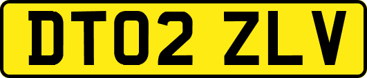 DT02ZLV