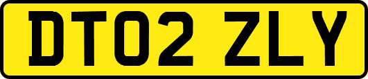 DT02ZLY