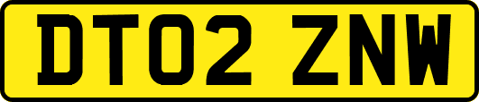 DT02ZNW