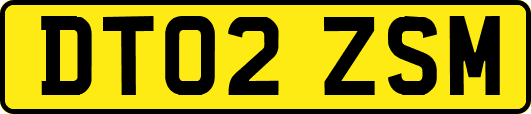DT02ZSM