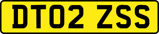 DT02ZSS