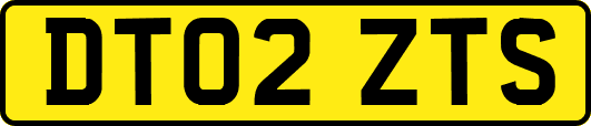 DT02ZTS