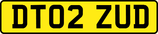 DT02ZUD