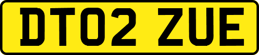 DT02ZUE