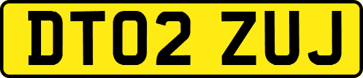 DT02ZUJ