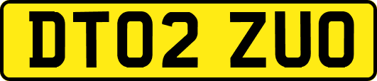 DT02ZUO