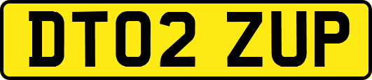 DT02ZUP