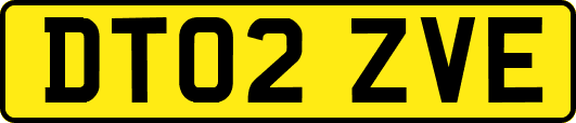 DT02ZVE