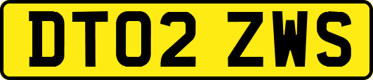 DT02ZWS