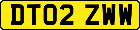 DT02ZWW