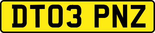 DT03PNZ