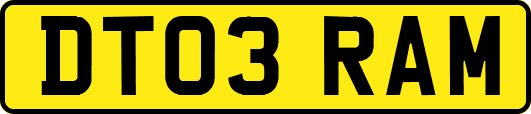 DT03RAM