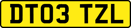 DT03TZL