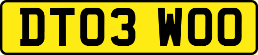 DT03WOO