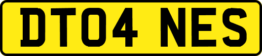 DT04NES