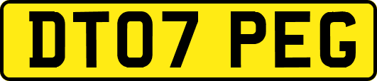 DT07PEG