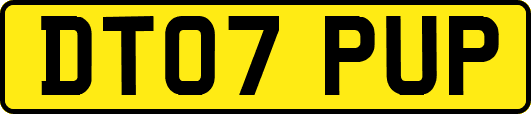 DT07PUP