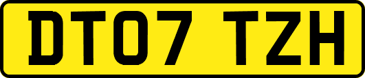 DT07TZH