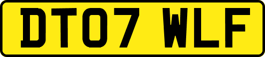 DT07WLF