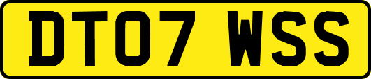 DT07WSS