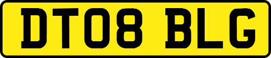 DT08BLG